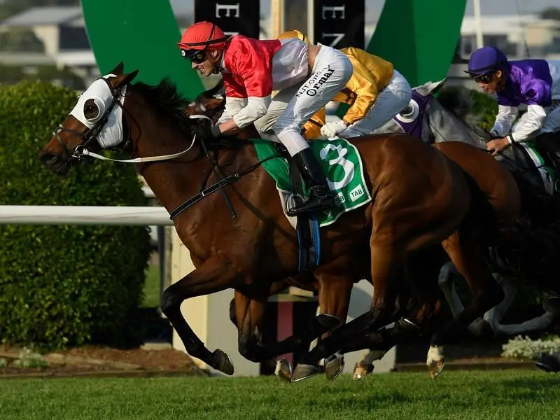 Niccanova wins the Listed Brisbane Handicap.