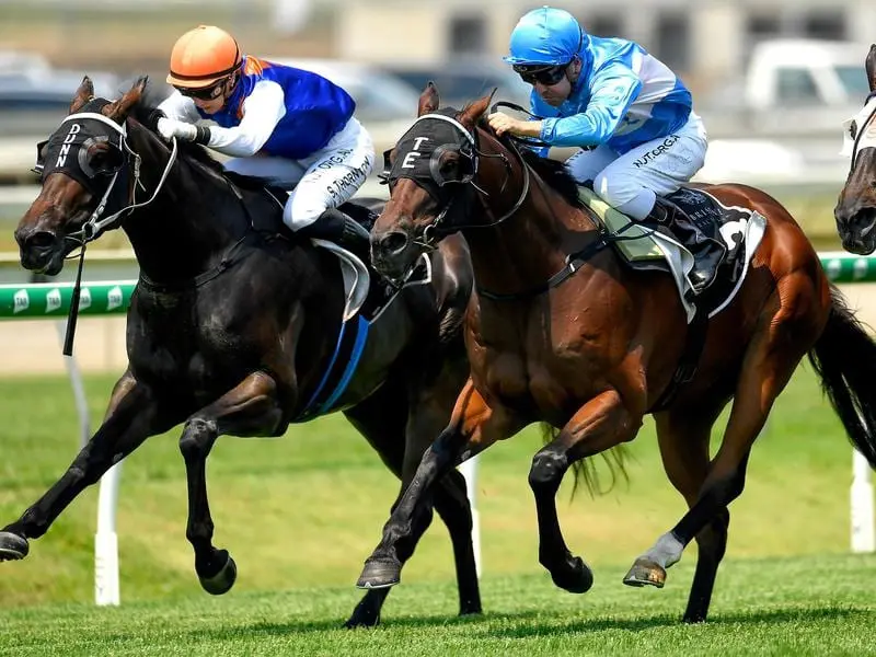 Scout survived a protest to win at Doomben.