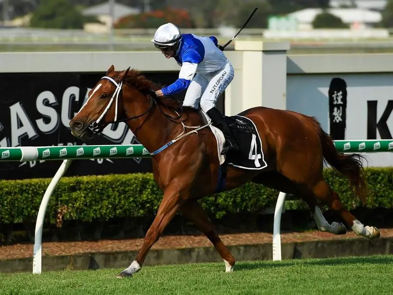 Spurcraft wins the Bribie Handicap.