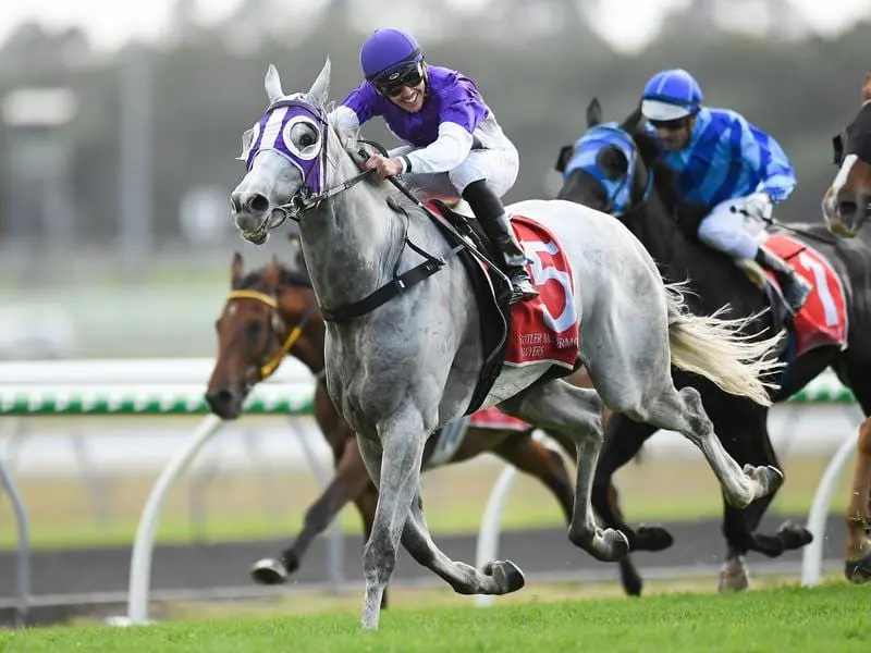 The Candy Man can improve on the spacious track at Eagle Farm after a last-start 3rd at Doomben. the candy man