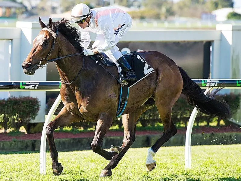 Jockey Brad Stewart rides Fiery Heights (file image)