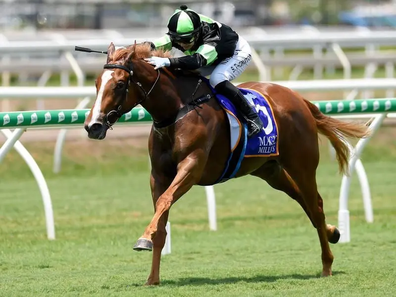 Gotta Kiss wins at Eagle Farm.