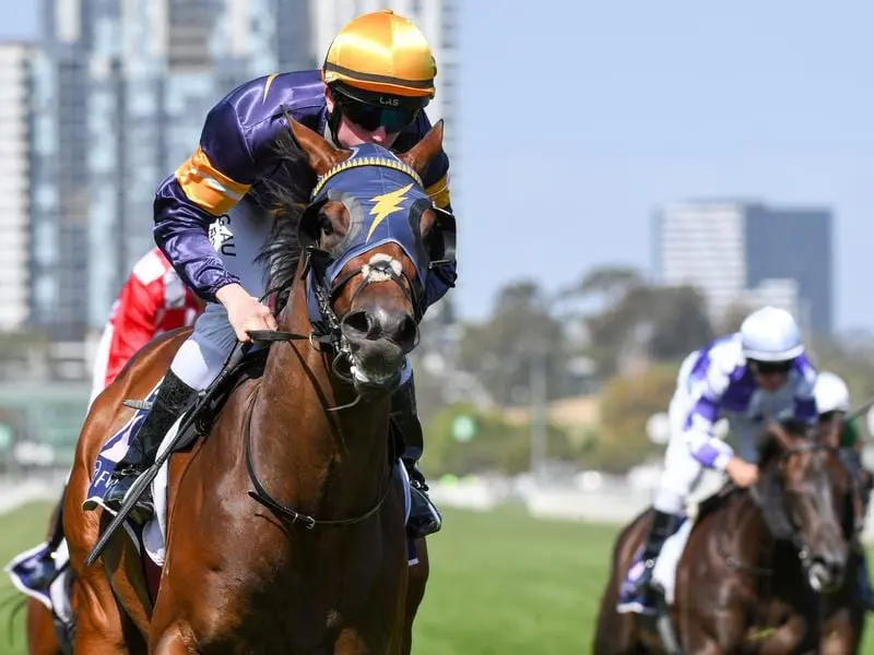 Alburq wins at Flemington.