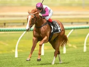 Dusty Tycoon