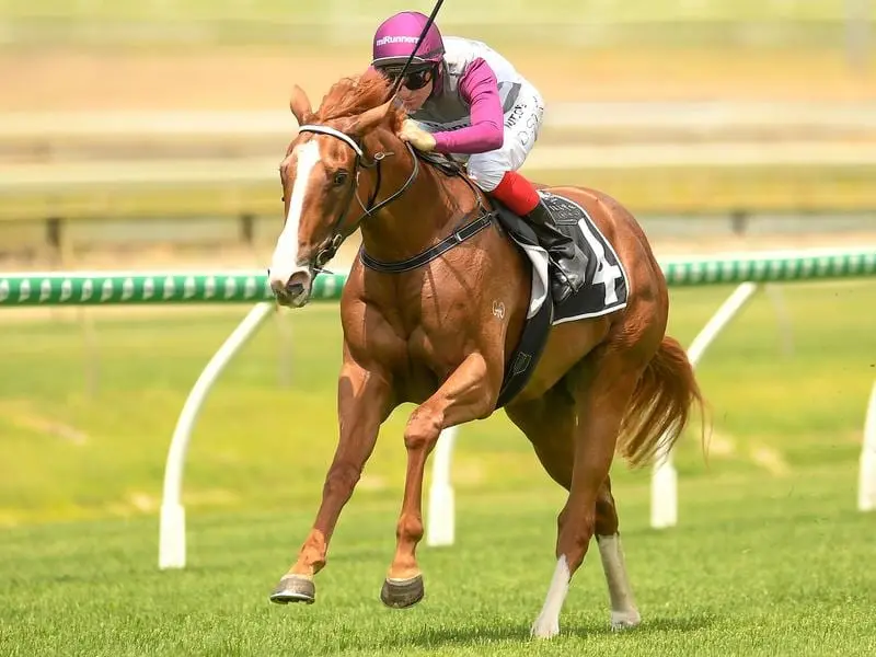 Jockey Dale Smith rides Dusty Tycoon