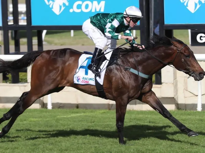 Yulong January wins at Pakenham.