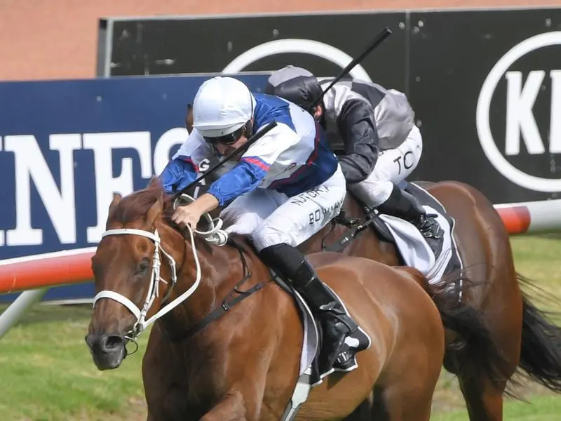 Alward wins the ATC Cup at Rosehill.