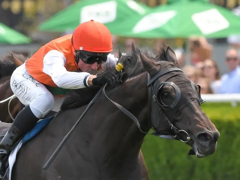 Morton's Fork wins the Christmas Cup at Randwick.