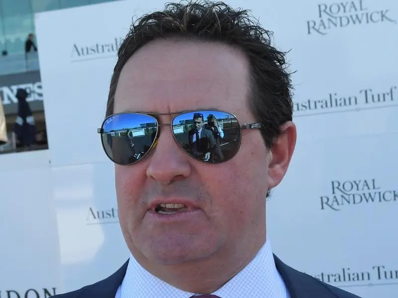 Co-trainer Michael Freedman hopes Cinquedea can show his new maturity with a win at Randwick. michael freedman