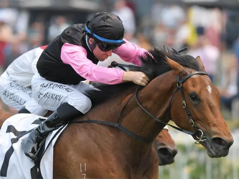 Sancy wins at Doomben.