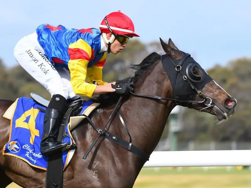 Singapore apprentice Simon Kok rides a winner at Sandown.