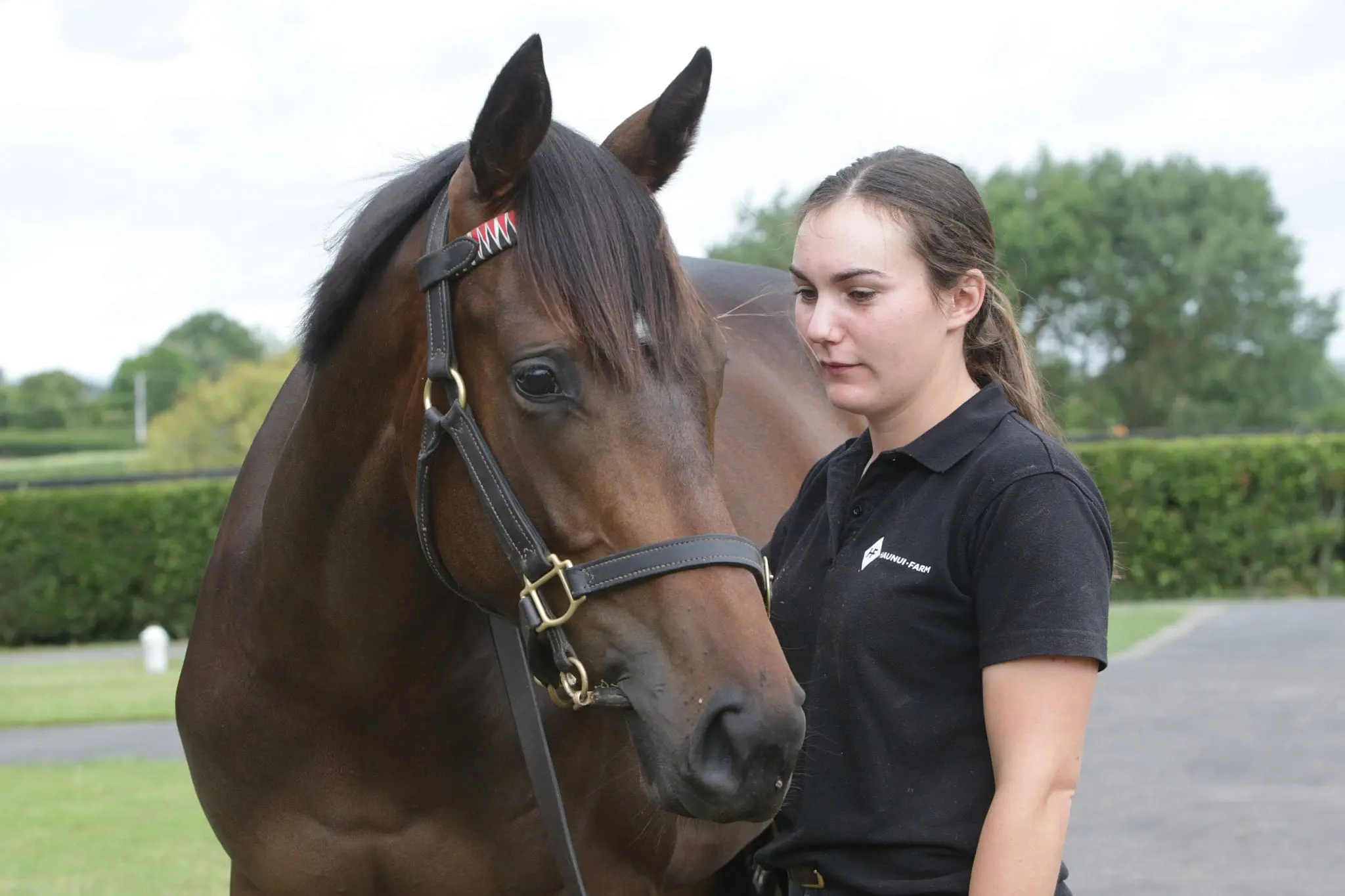 Lot 337, Iffraaj filly out of Talaria