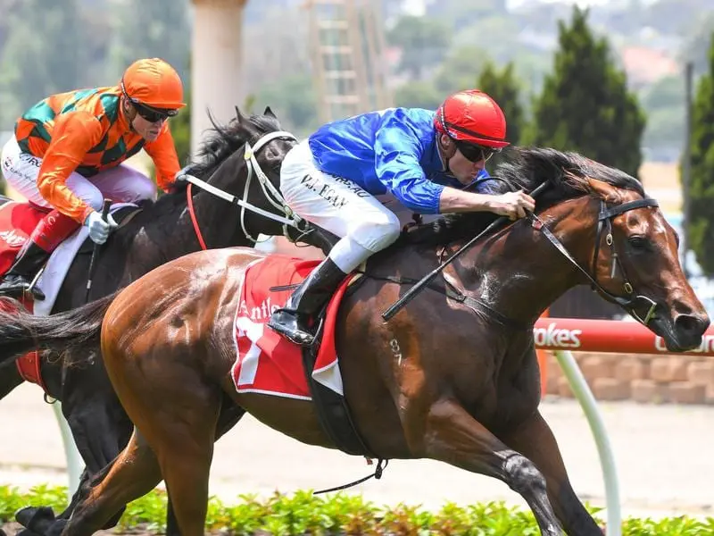 Jockey Billy Egan rides Mr Cashman to victory