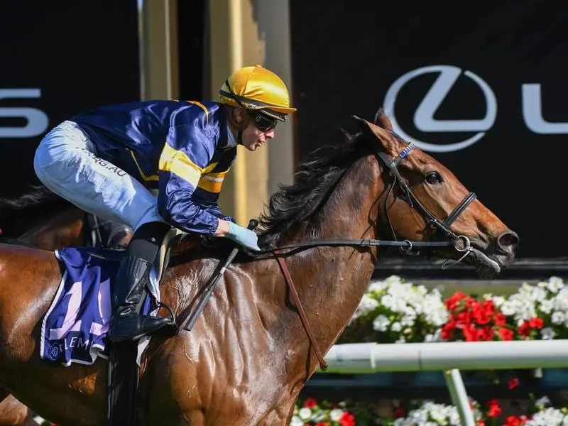 Imported stayer Aktau will have his second Australian start for Mike Moroney at Caulfield. aktau