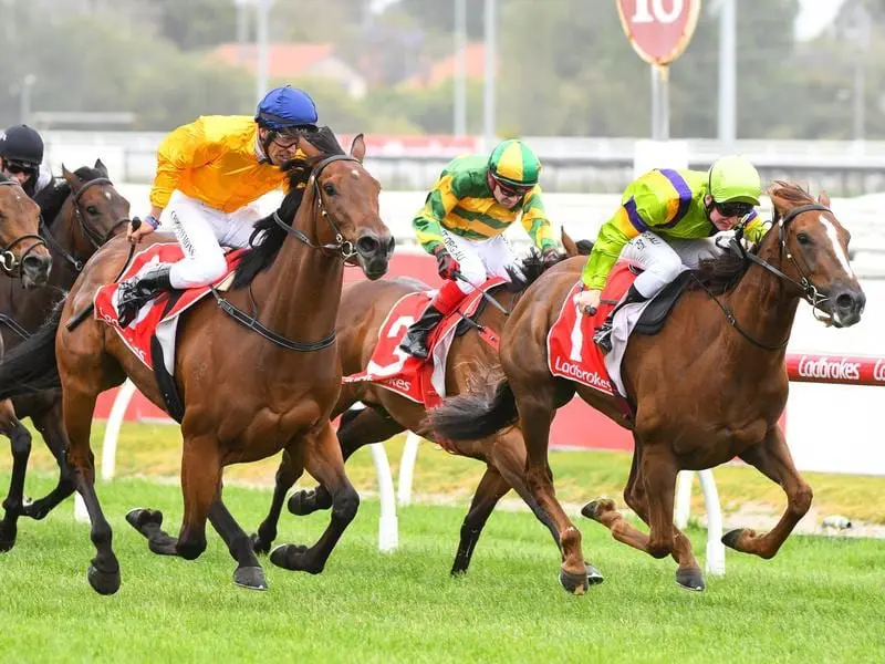 Mrs Beckham (left) beats her stablemate Parmie at Caulfield.