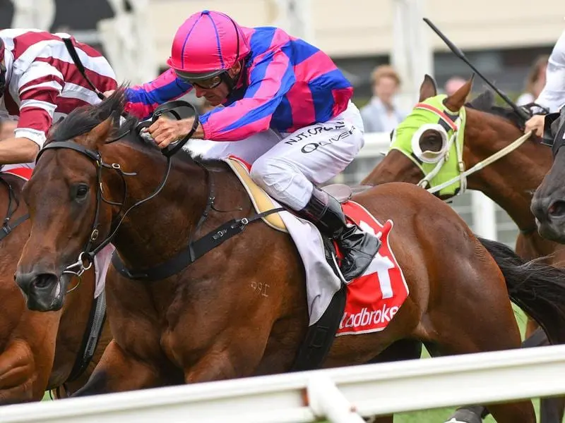 Tony Nicconi wins at Caulfield.