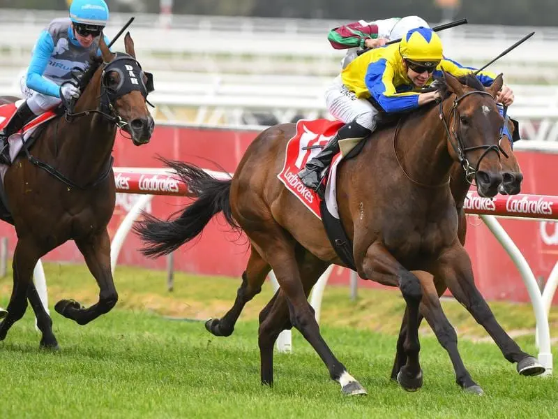 How Womantic wins at Caulfield.