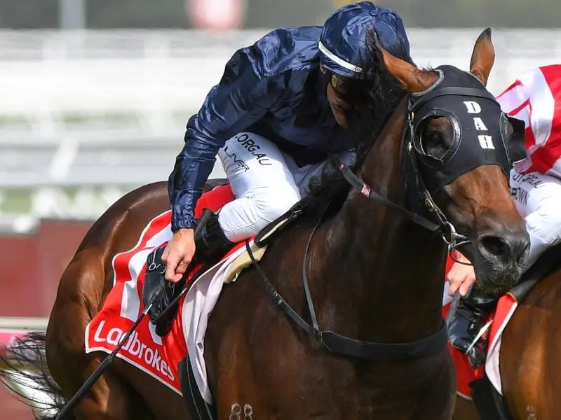 Conqueror wins at Caulfield.