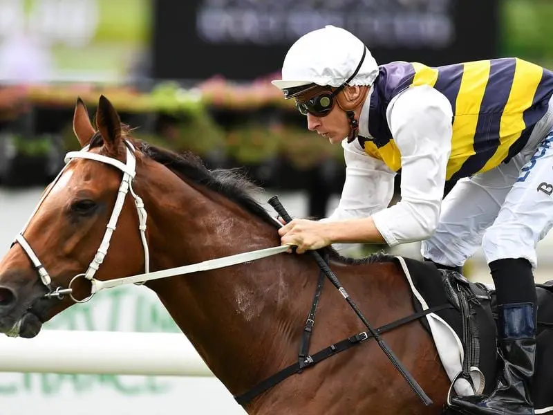 Blake Shinn rides Le Juge at Eagle Farm