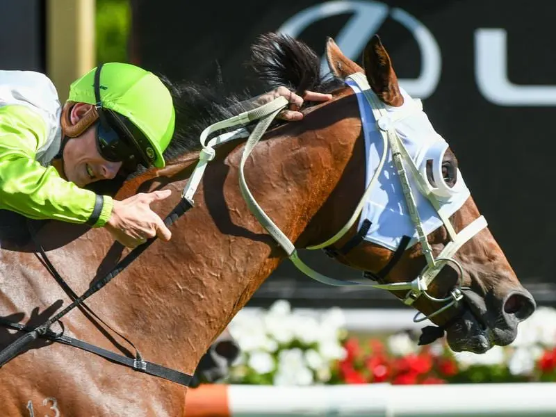 Jockey Beau Mertens has emulated his father in riding a Bagot Handicap winner at Flemington. El Don wins the Listed Bagot Handicap.