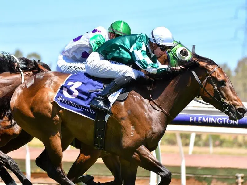 Yulong January wins at Flemington.