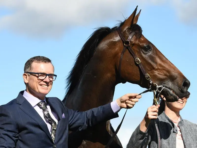 Trainer David Vandyke will give Alligator Blood a barrier trial during the Sunshine Coast meeting. david vandyke and alligator blood