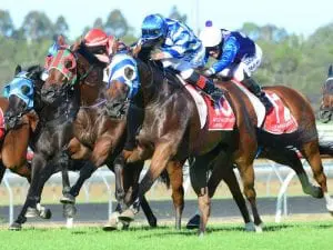 Rockhampton Cup 2020 betting tips, odds & specials Balboa Rocks