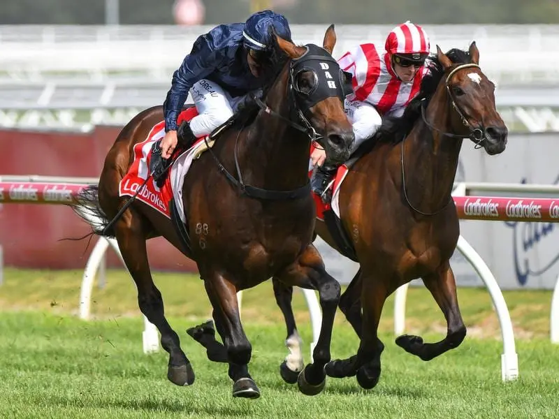 James McDonald will ride stakes-placed Conqueror (l) in the $1 million Karaka Million 3YO Classic. conqueror (left)