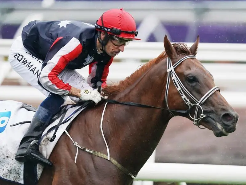 Adelaide colt Dalasan is nearing his return in Melbourne with Sydney racing also on his agenda. dalasan