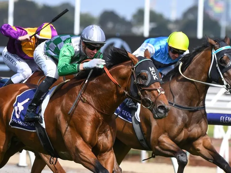 Jye McNeil has successfully appealed a suspension for his Chester Manifold ride on Amadeus (green). jye mcneil