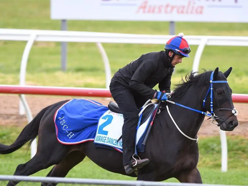 The imported Mirage Dancer is likely to begin his 2nd Australian campaign in the Group One Orr. mirage dancer