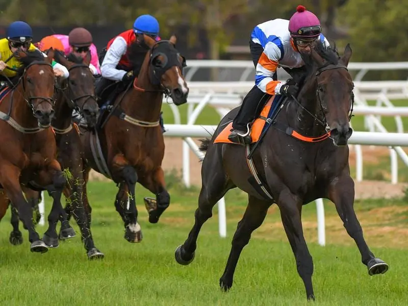 Jockey Luke Currie rides Hey Doc during a jump-out at Werribee