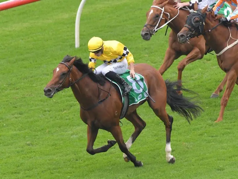 Rocha Clocks wins at Randwick for jockey Tom Marquand.