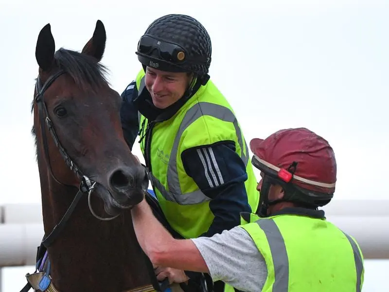 Damian Lane rides Catalyst during track work at Mornington