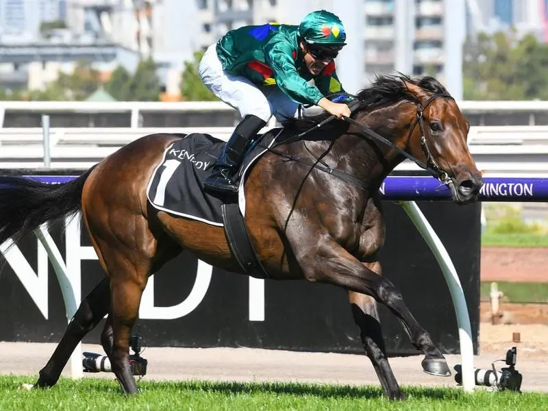 Ryan Maloney rides Alligator Blood to victory in race 7 at Flemington