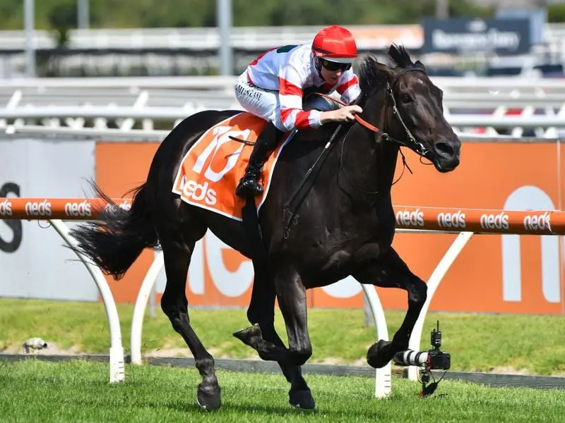 Miss Siska wins the TS Carlyon Cup at Caulfield.