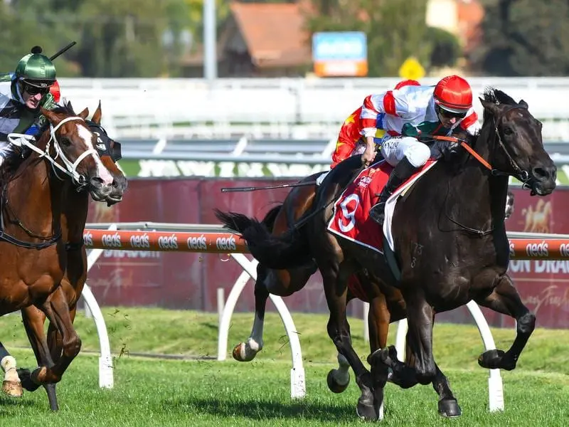 Miss Siska wins the Peter Young Stakes.