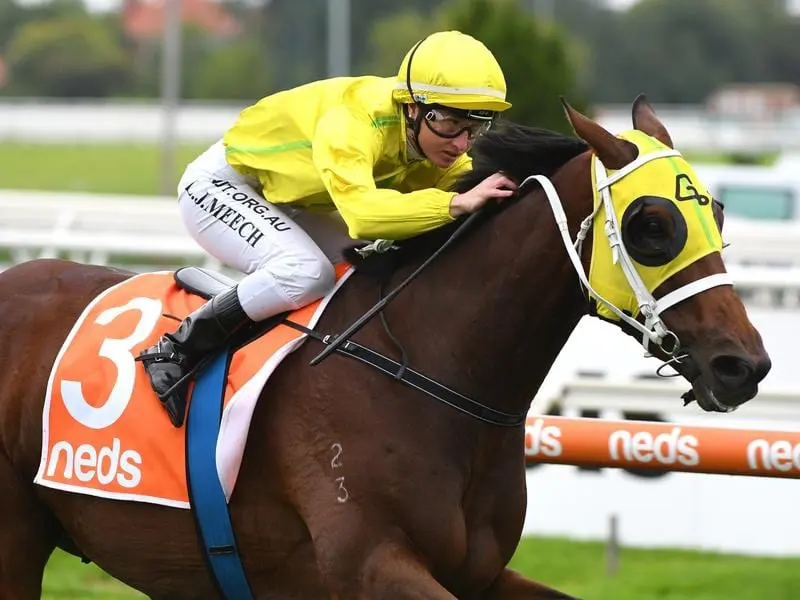 Vaucluse Bay wins at Caulfield.