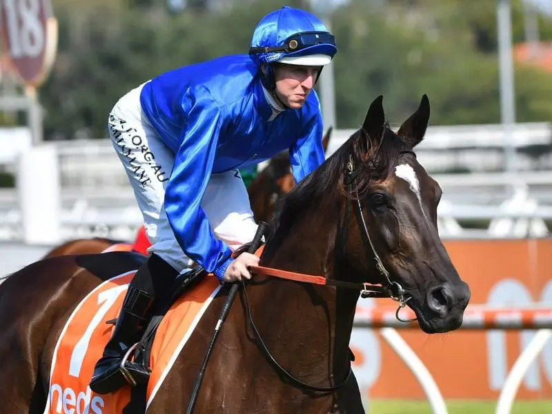 Damian Lane rides Avilius before the CF Orr Stakes