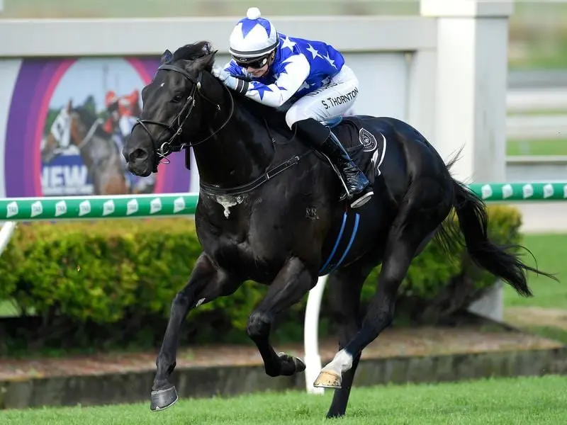 Stephanie Thornton rides The Odyssey to victory in race 6 at Doomben