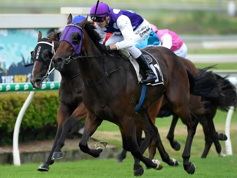 James Orman rides Eric The Eel to victory in race 1 at Doomben