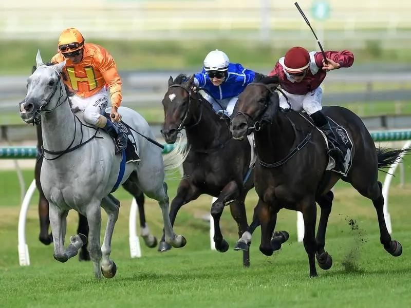 Matthew McGillivray rides Manaya (right) to victory in race 5