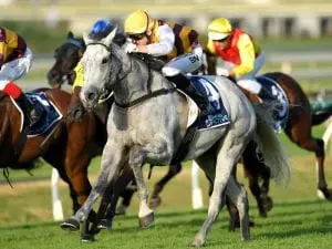 Silvera
