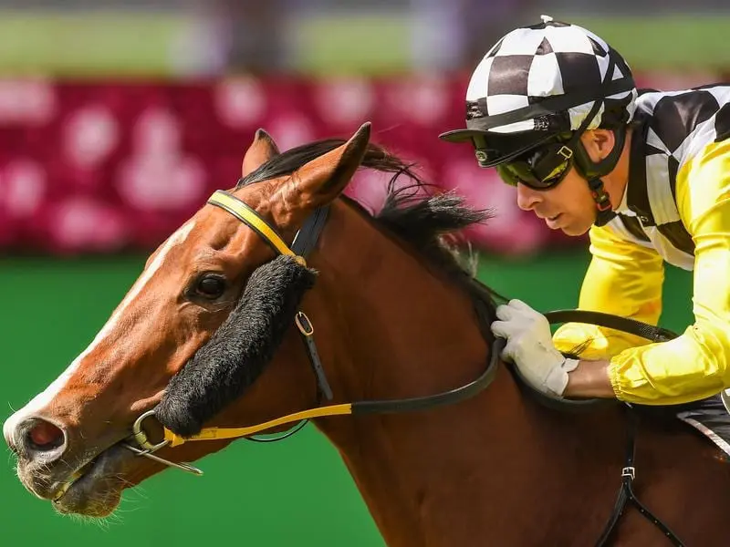 Profit continues his build-up to a potential Sydney carnival campaign when he races at Eagle Farm. Profit will race over 1400m at Eagle Farm.