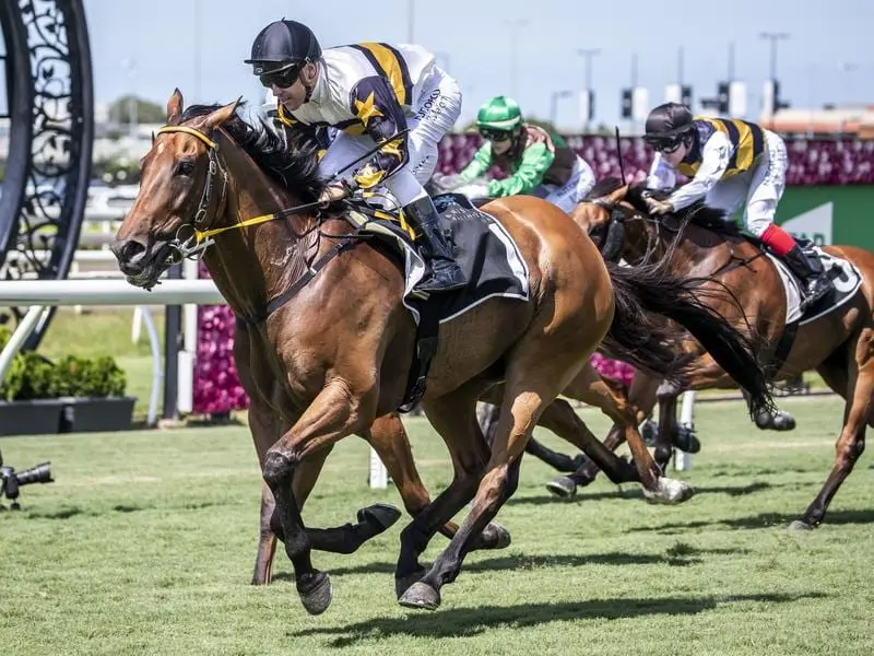 Cool Chap wins at Eagle Farm.