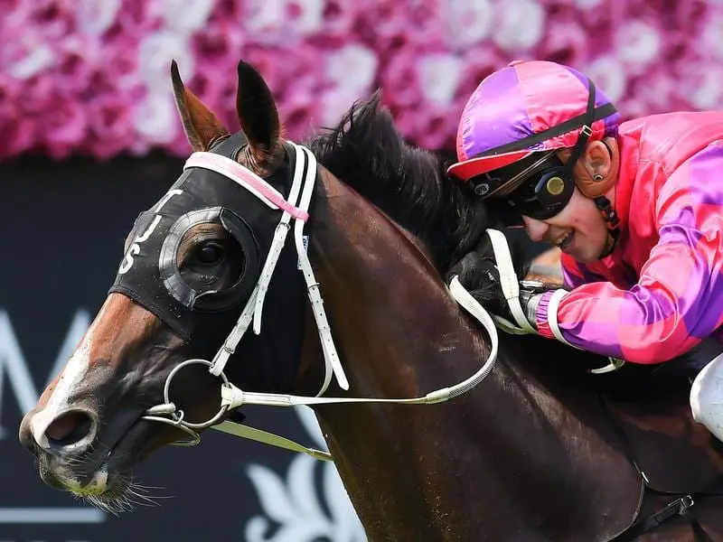 Exondabeach wins at Eagle Farm.