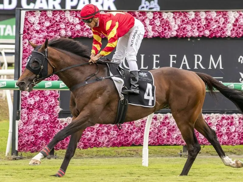 Quality Seeker wins at Eagle Farm.