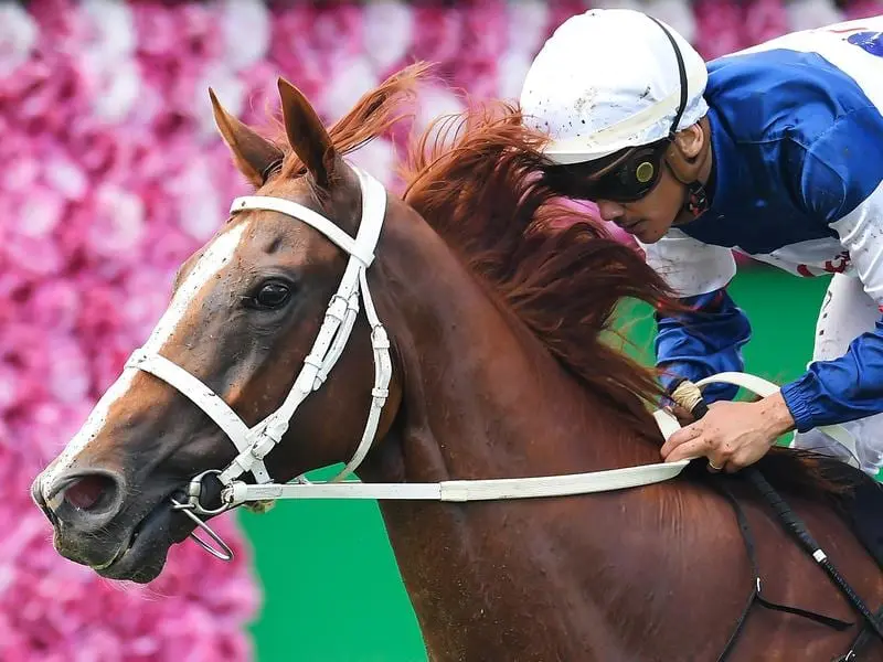 Raqeeq wins at Eagle Farm.