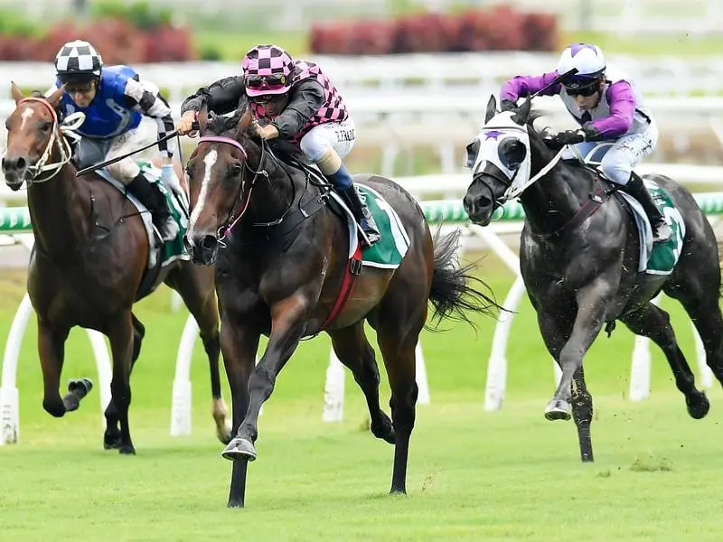 Rothfire has added to his unbeaten sequence in an impressive return to racing at Eagle Farm. Rothfire wins at Eagle Farm.