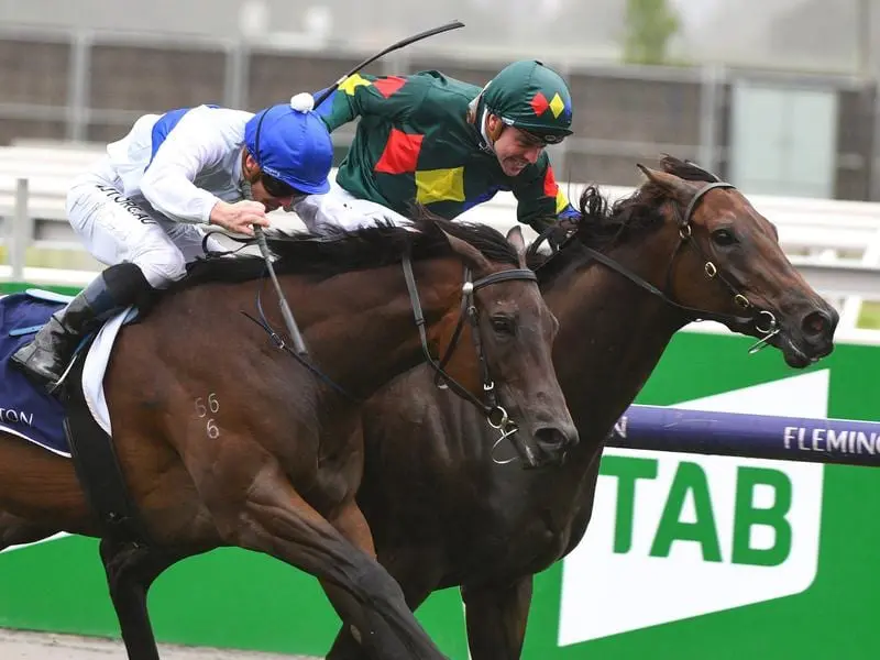 Alligator Blood (right) beats Catalyst at Flemington.